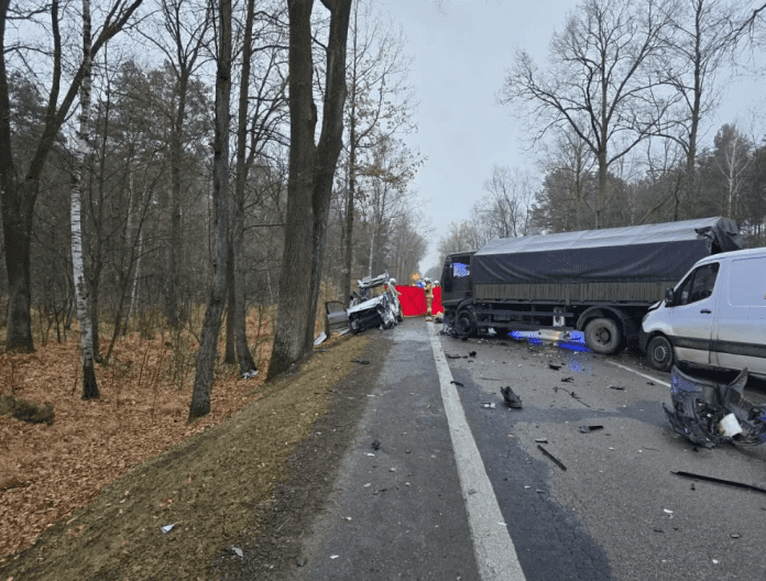 Страшне ДТП на дорозі біля лісу